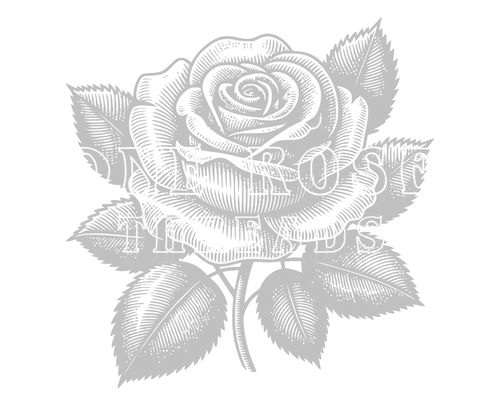 ONE ROSE THREADS